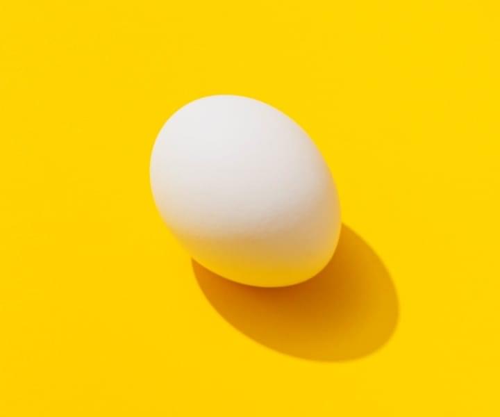 egg close up on a yellow background